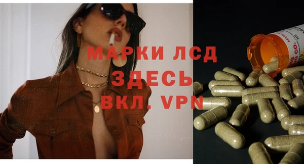 эйфоретик Новозыбков