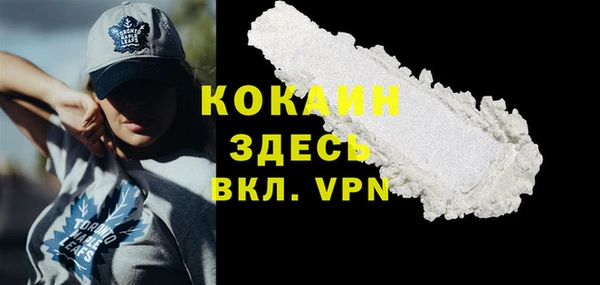 дмт Няндома