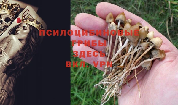 дмт Няндома