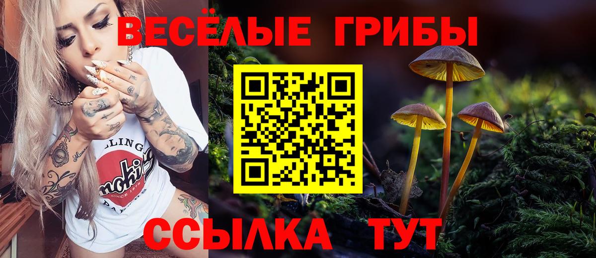 Псилоцибиновые грибы Cubensis  Сатка 